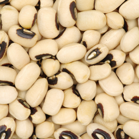 Organic Black Eyed Beans For Sale