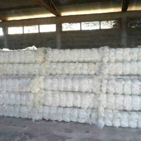 Sisal Fiber Grade UG For Sale