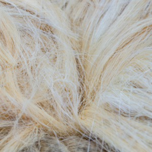 Sisal Fiber TOW 1 for sale