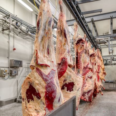 Whole Beef Carcass for sale